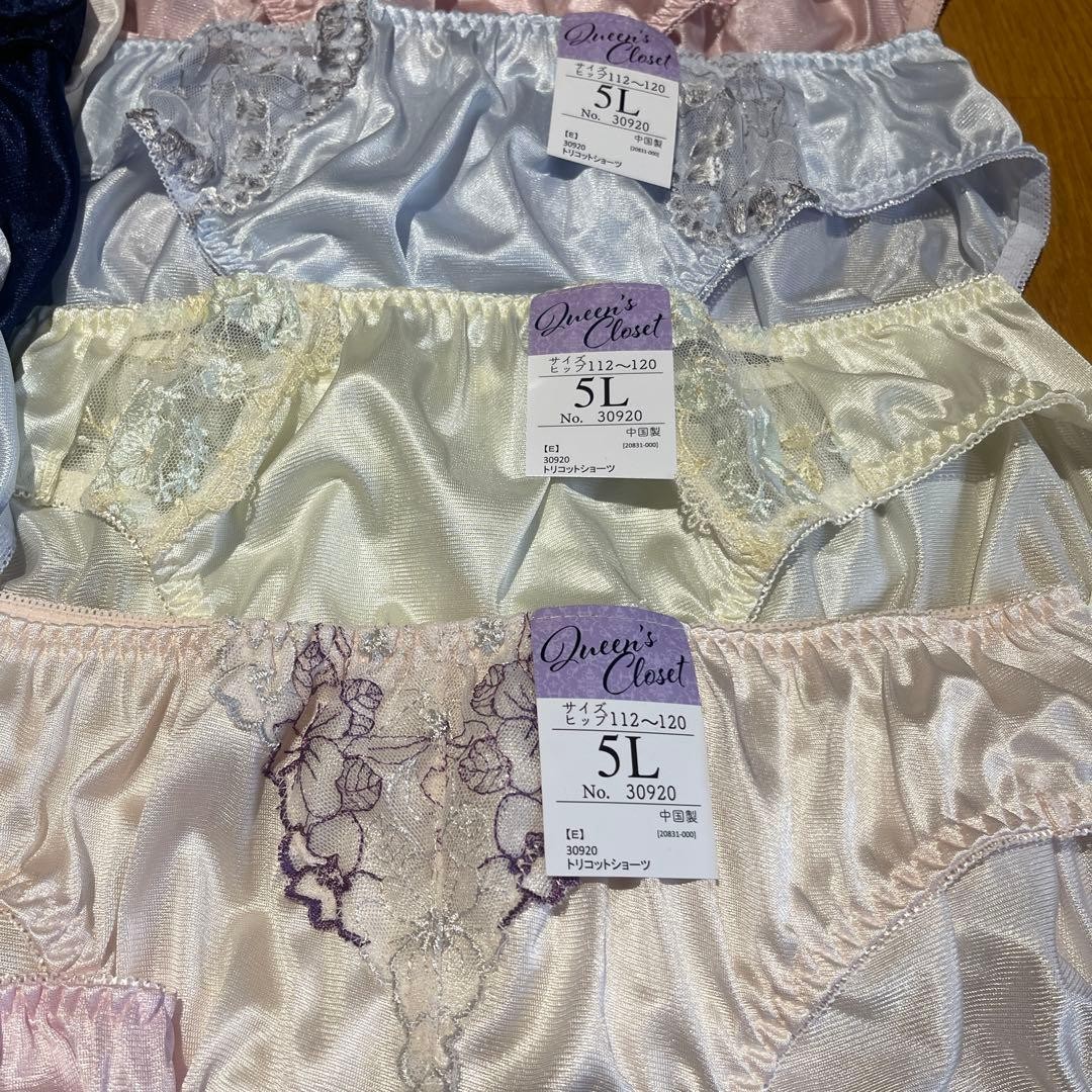 Japanese Glossy Nylon Panties Floral Lace Brief Set of 10 US size 2XL, JP 5L
