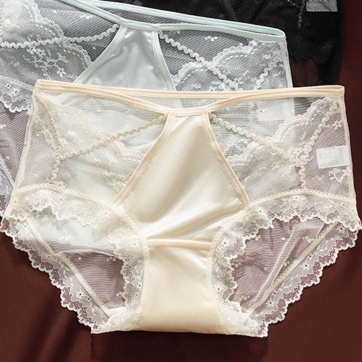 5 Pack Lot Sexy Womens Satin Panties Underwear Sheer Lace Briefs French Lingerie