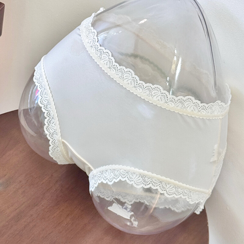 5 Pack Lot Sexy Womens Sheer See Through Panties Underwear Lace Lingeries Briefs