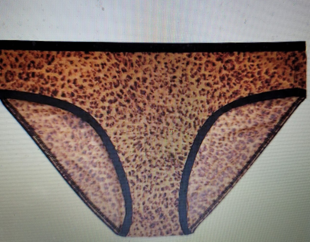 6/M OLD NAVY SeXy Cheetah Animal Print Mesh BIKINI Underwear NWT
