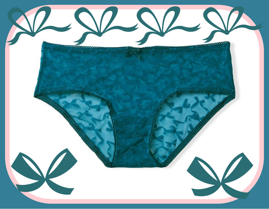 L Jade Turquoise Blue Bow Ribbon Flocked Mesh Victorias Secret Hiphugger Pantie