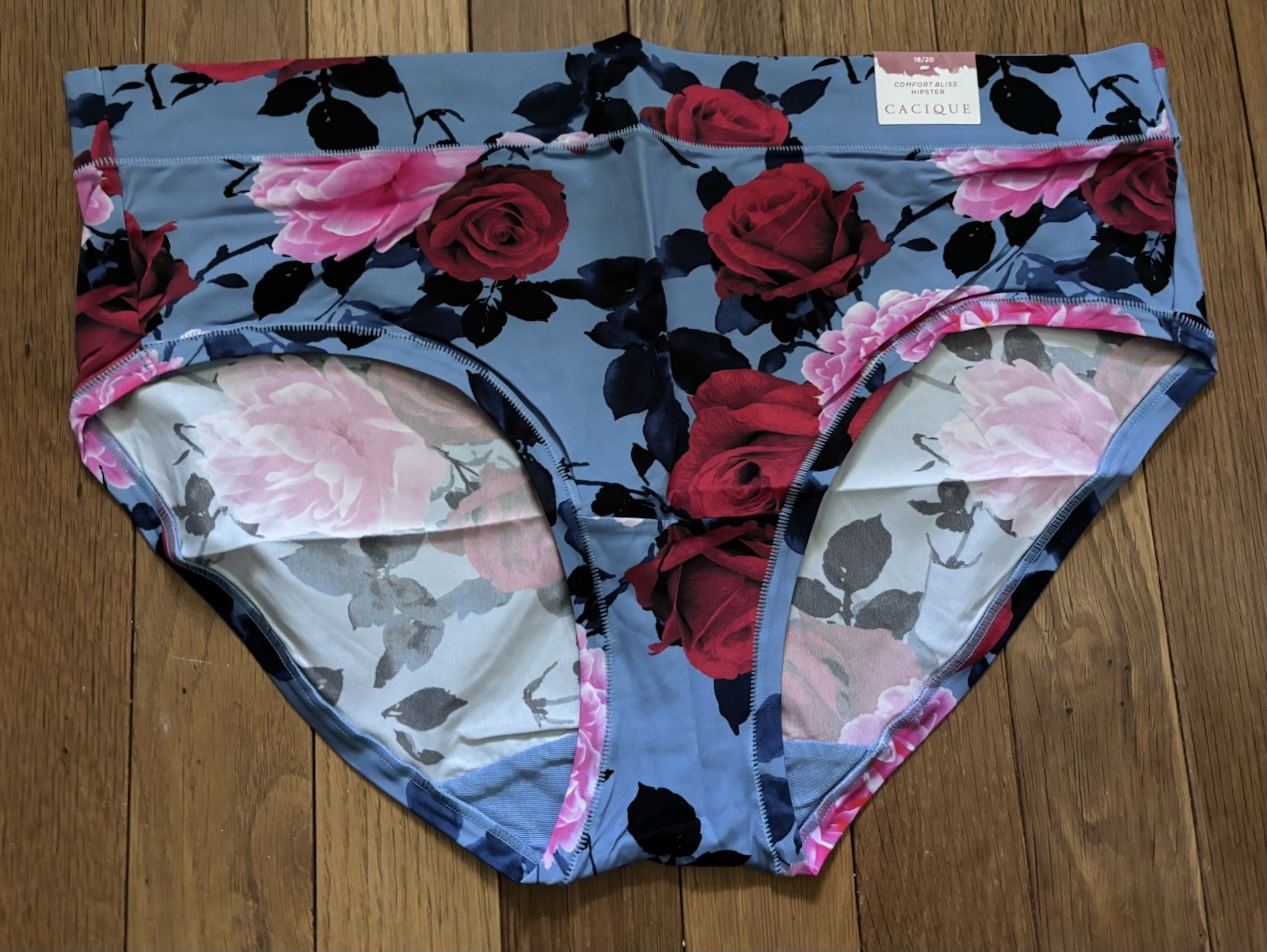 Plus Sz 18/20 Lane Bryant Cacique Comfort Bliss Hipster Nylon Dusty Blue Rose
