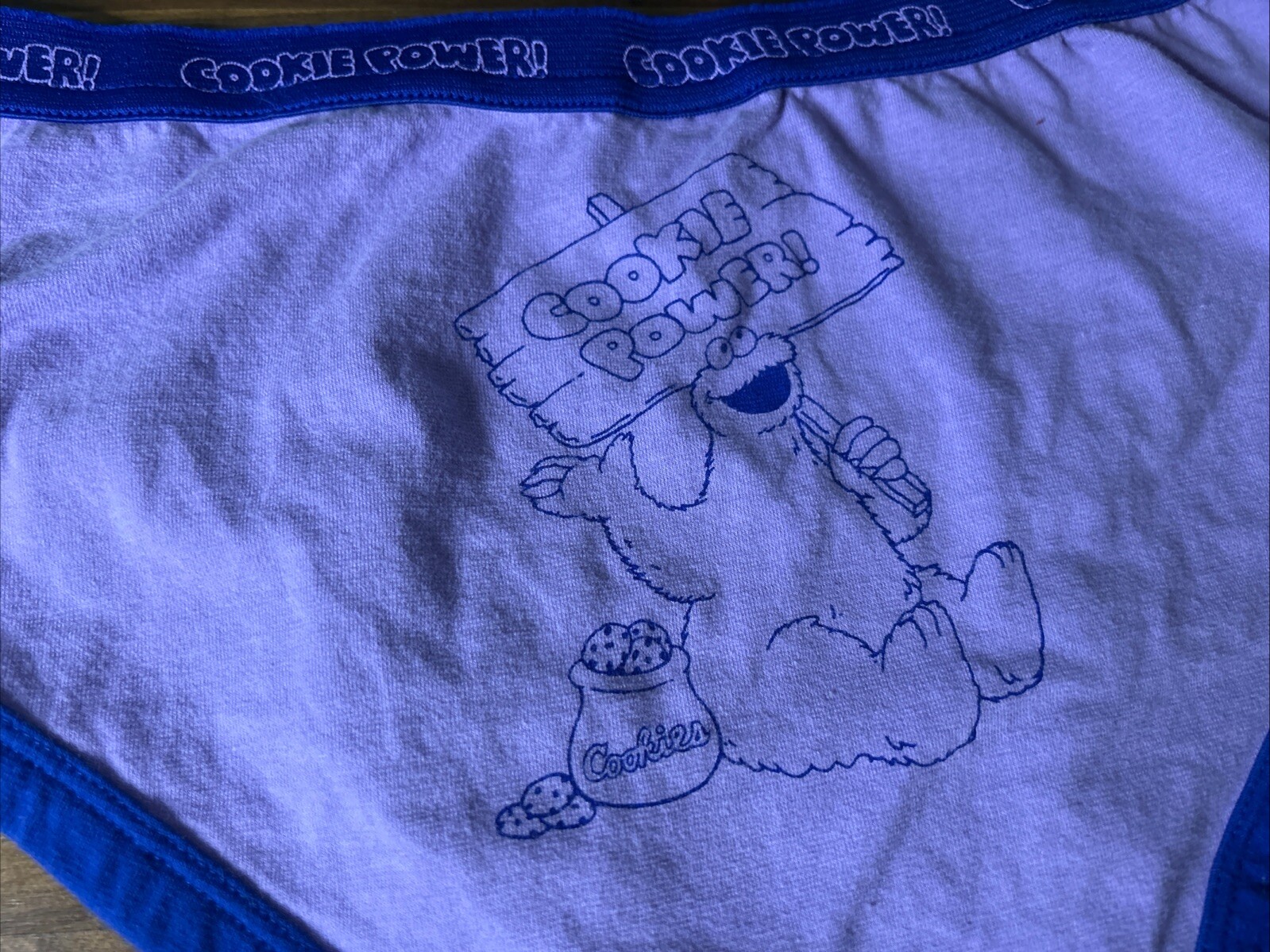 Vtg Sesame Street Cookie Monster Hipster Panties Cookie Power Sz 6 Kidcore Thick