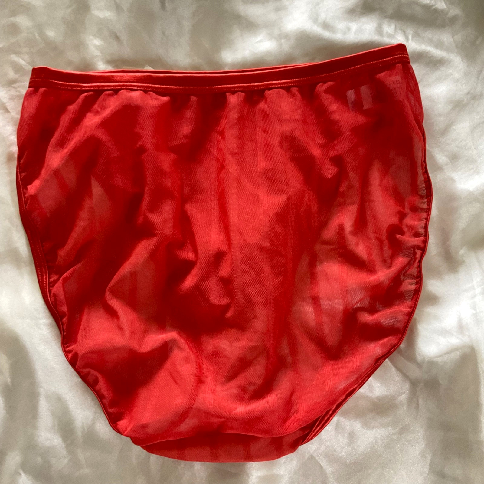 VINTAGE WARNERS THE NAKED TRUTH RED SHIMMERY SHEER BRIEF PANTIES Size 9 NWT