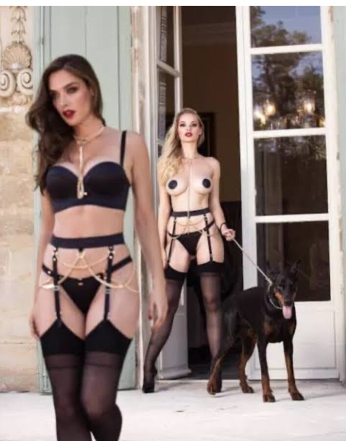 Honey Birdette Karina Gold Chain Brief Size XL