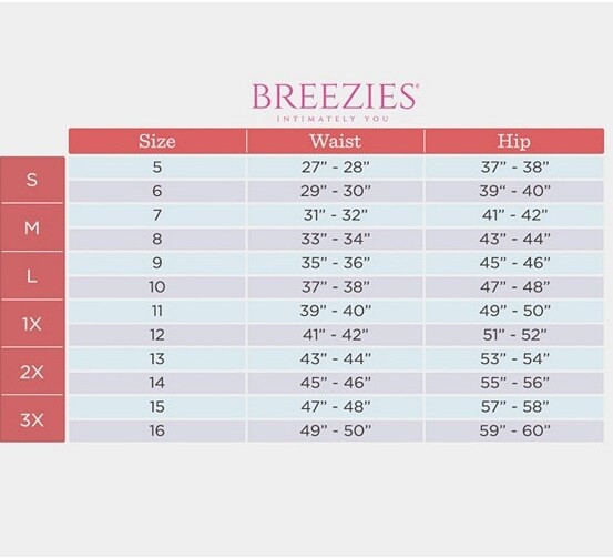 Breezies Lilac Purple Nylon Microfiber Brief Panties New