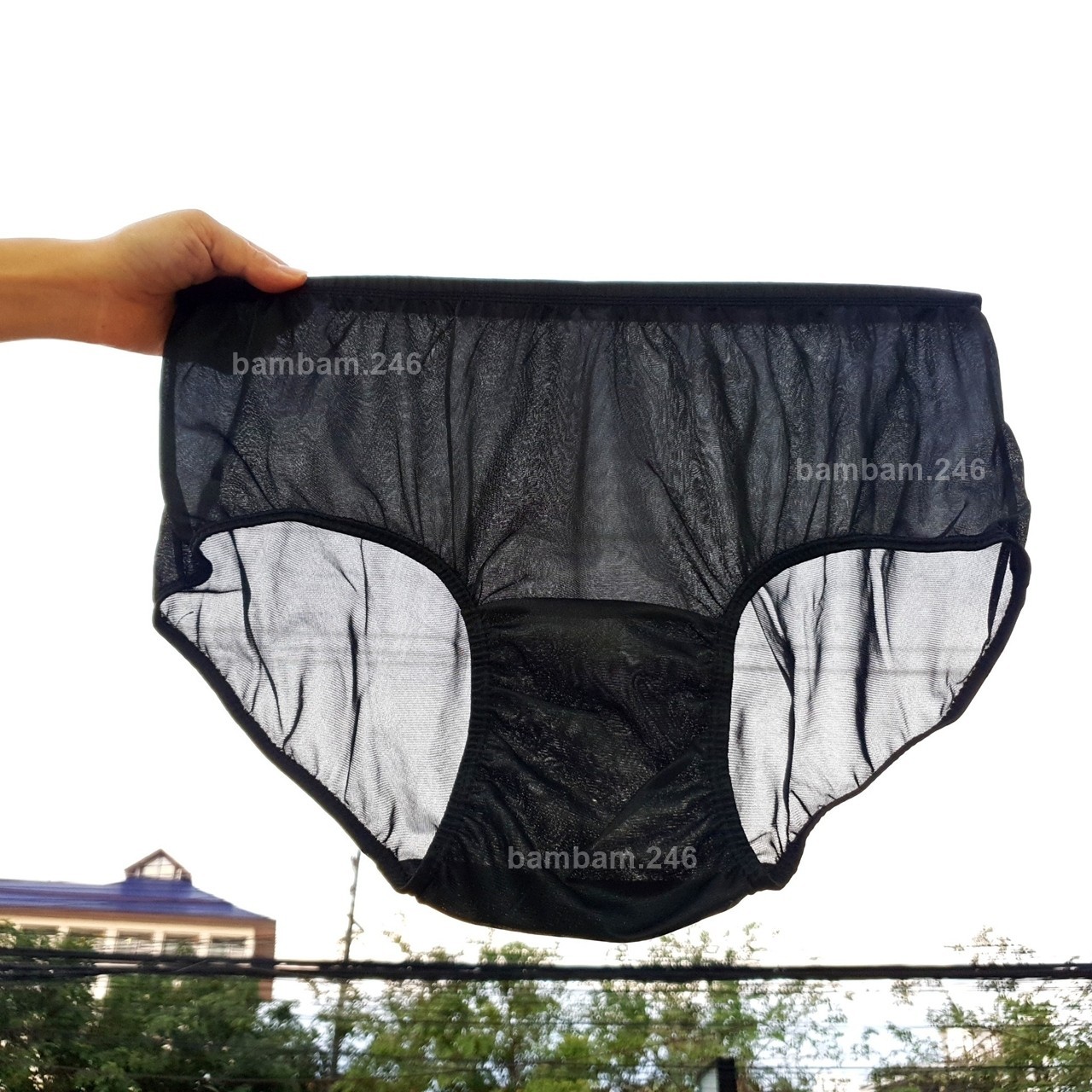 6 Packs Lot Soft Nylon Underwear Size L Panties Briefs Sheer Transparent Sexy Li