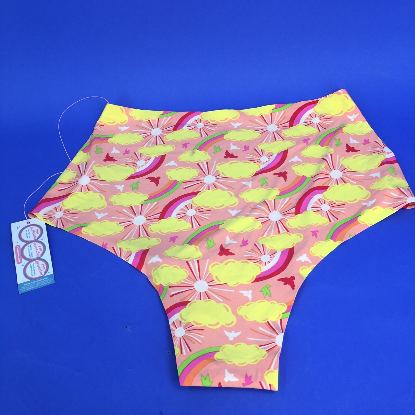 Cheek Boss Panties XL Pink Rainbow Sunshine Cheeky Underwear Women