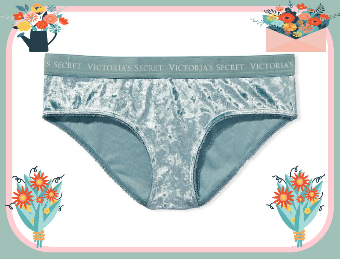 XL Aqua Sage Dust FULL VELVET RARE Victorias Secret LOGO Heart Hiphugger Pantie