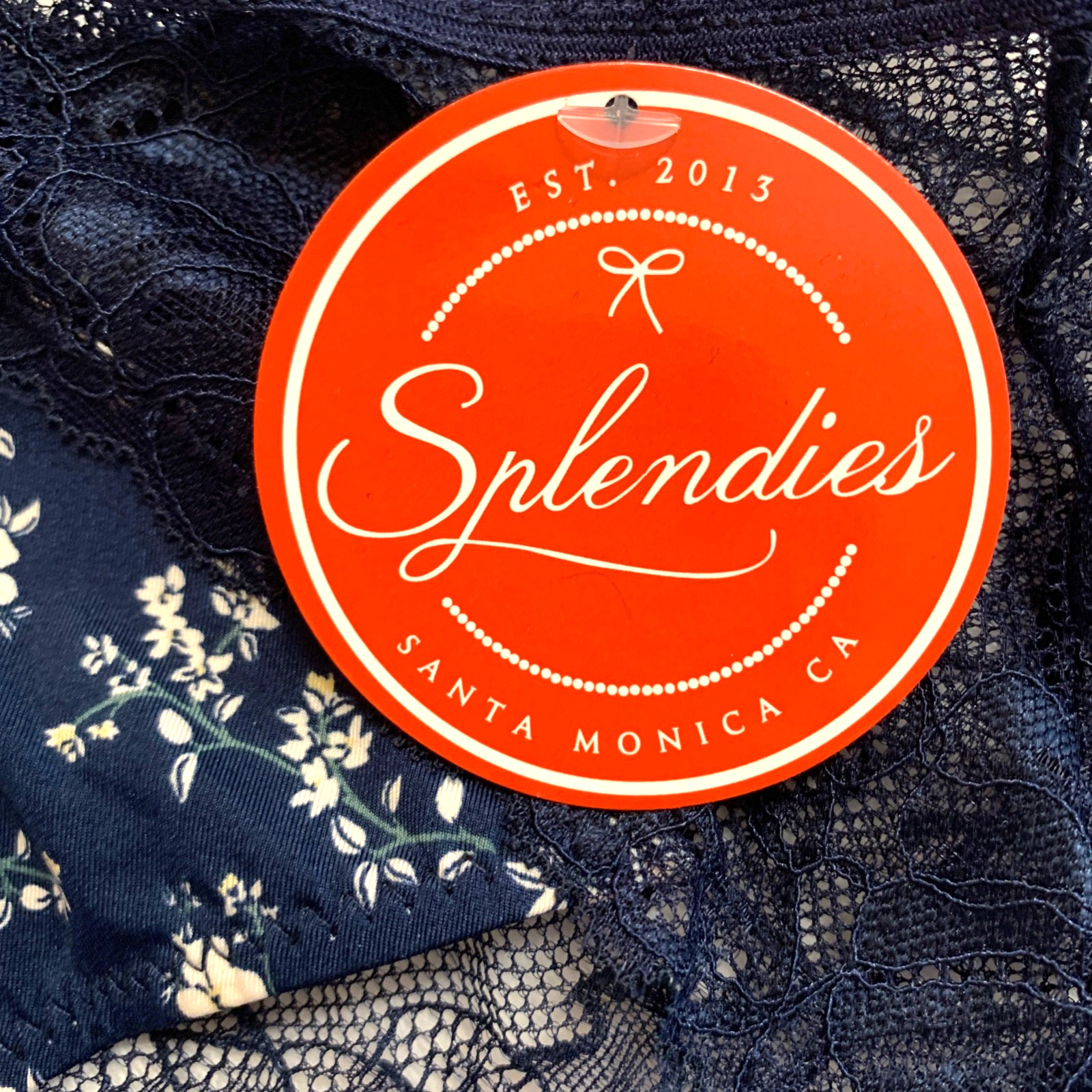 Splendies Sylvie Chic Lace Bikini Panties Size 4x Floral Lingerie Underwear New