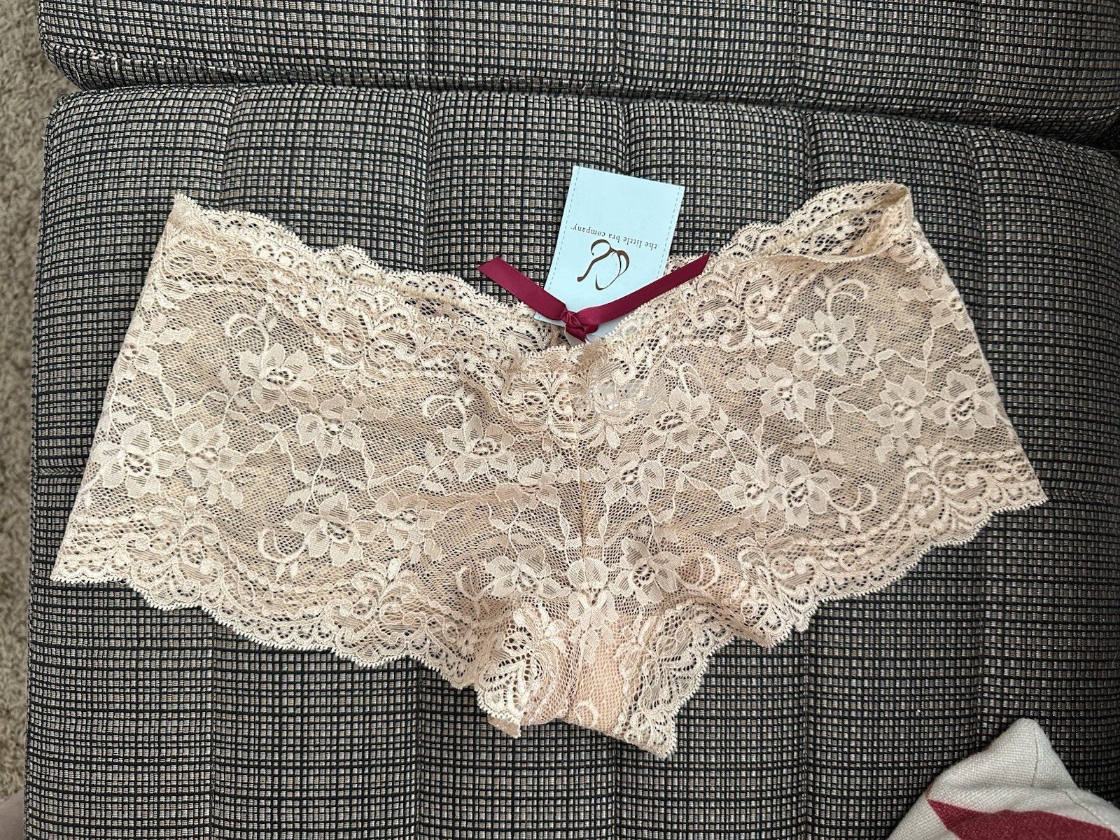 NWT Little Bra Company Lucia Boyshorts Lace Underwear Large Nude