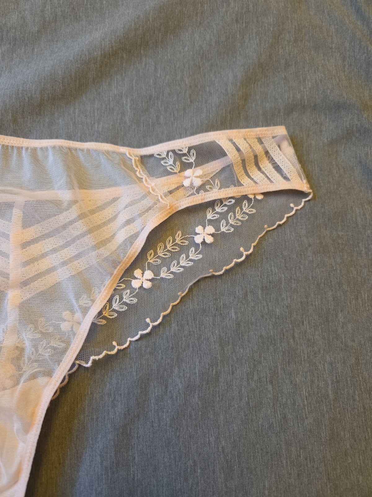 Nwot Simone Perele Sheer Thong Pink 16Z710 Sz 4