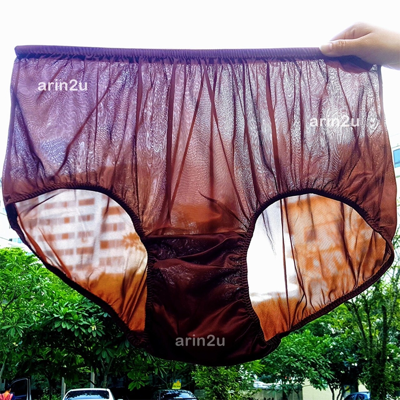 6 Pcs Plus Size 4XL Underwear Vintage Sheer Transparent Silky Nylon Panties Brie