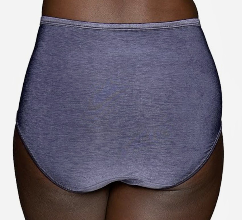 VANITY FAIR Shine Illumination Steel Violet Purple Brief Panty Womens M 6 3XL 10