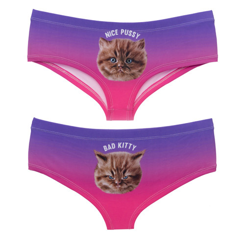 Naughty Girl Novelty Print Panties-It’s Not Gonna Lick Itself -Bite Me + More