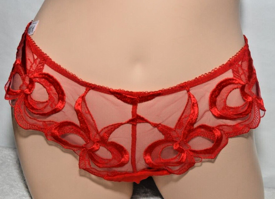 NWT Victoria’s Secret Red Mesh Brazilian High Leg Bikini Panty Bow Embroidery L