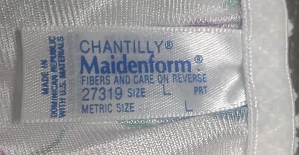 Vtg Maidenform Chantilly Satin Panty Floral Lace String Bikini 27319 Size Large