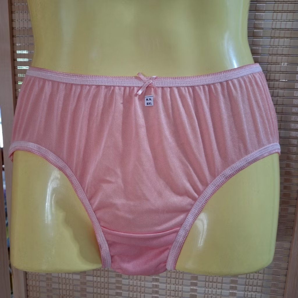 10x Women’s Silky Nylon Brief Panties XL High Waist Retro Style Soft Breathable