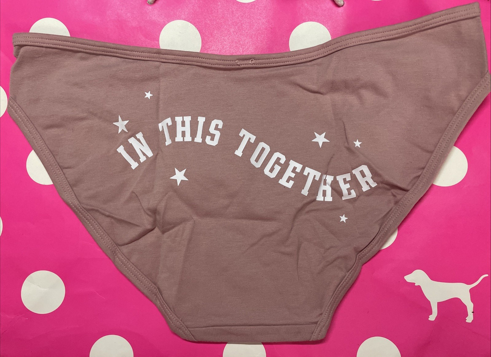NEW 2021 Victoria’s Secret PINK V Front Bikini Panties L In This Together