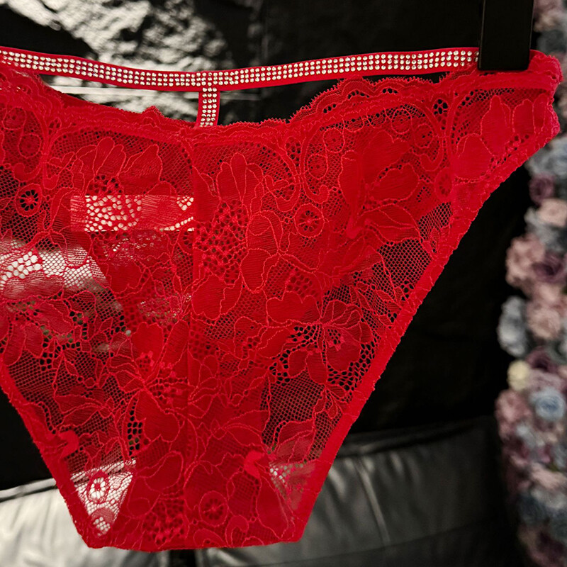 5 Pack Lot Sexy Womens See Through Lace Panties Briefs Sissy Underwear Lingeries