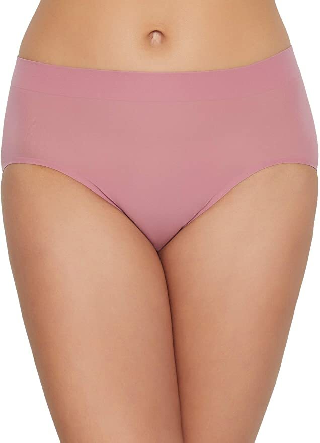 Wacoal Skinsense Dusty Rose Hi-Cut Briefs Underwear L26232 Size S