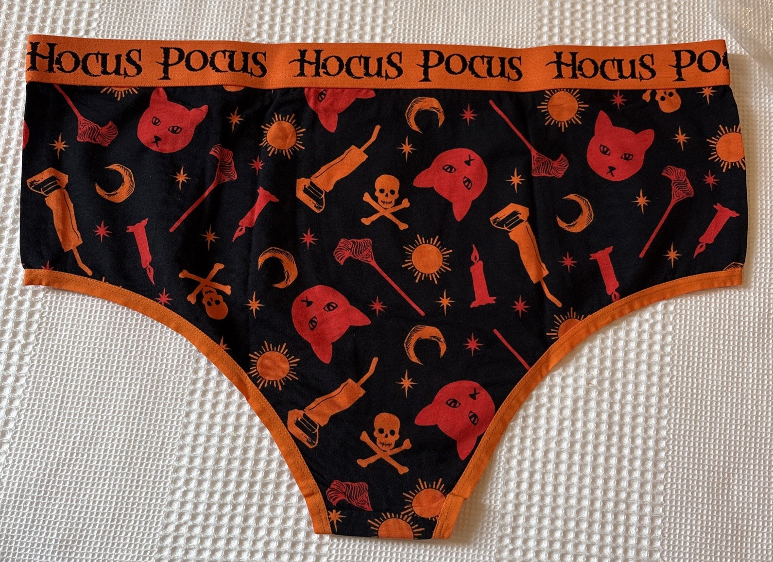 Torrid Size 2 18/20 Disney Hocus Pocus Halloween Cheeky Mid-rise Cotton Panty