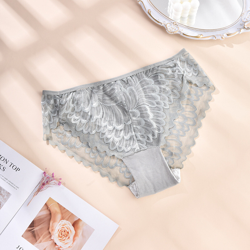 4 Pack Lot Plus Size Sexy Womens Panties Briefs Underwear Lace Sheer Lingeries