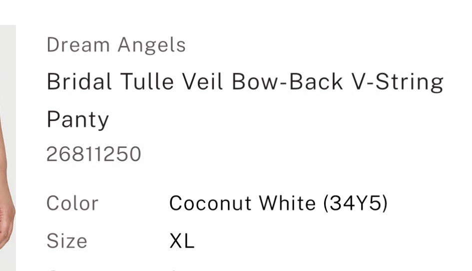 NWT Dream Angels Tease VICTORIA’S SECRET BRIDE BRIDAL Tulle Veil THONG PANTY XL