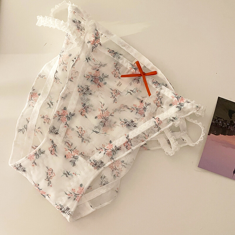 5 Pack Lot Sexy Womens See Through Sheer Panties Lingerie French Underwear Brief