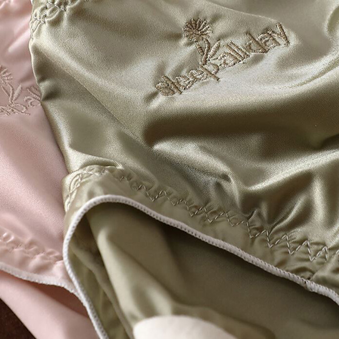 5 Pack Lot Sexy Womens Silky Satin Panties Underwear Ladies Lingeries Briefs