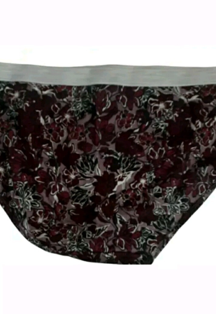 Womens Hanes 4 Pk Sz Xl Multi colored Brief Underwear Panties Nwtgs