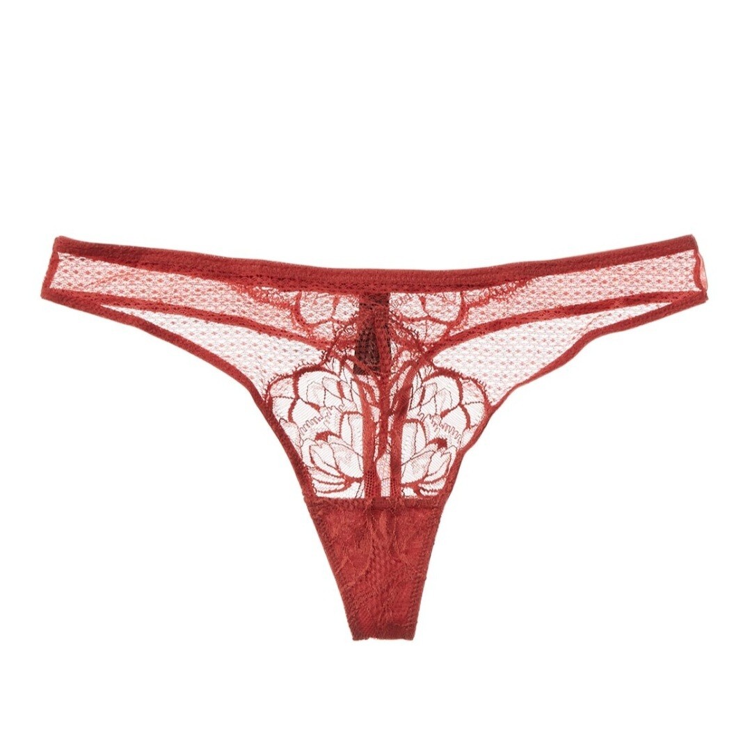 NWT Sealed Noelle Wolf Soul Lace Thong, Garnet Rose, Size 10/See pics for Size