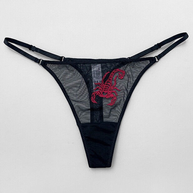 2 Pack Lot Sexy Womens Sheer Panties Thong G string Mesh Briefs Cheeky Lingeries