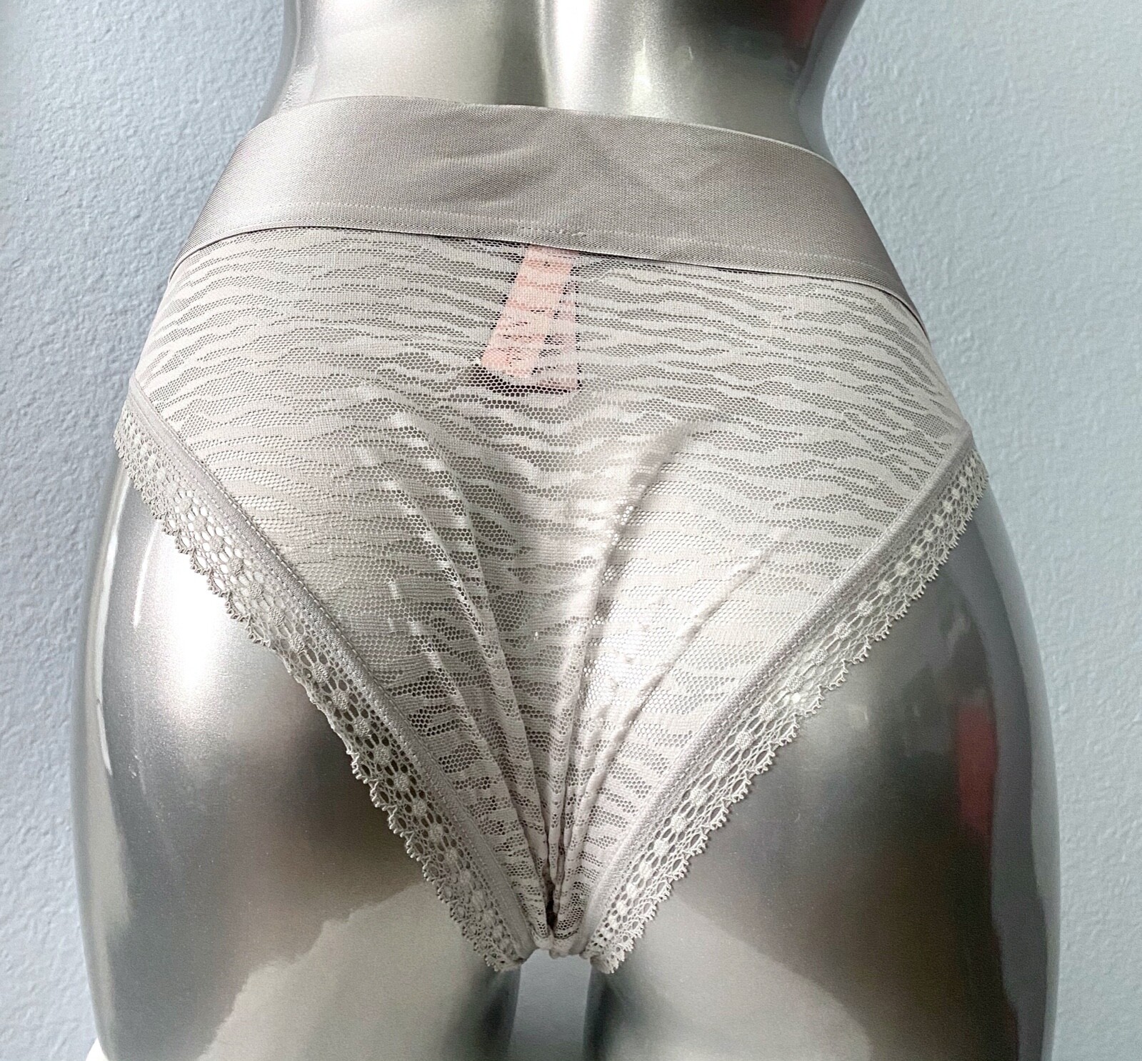 Victoria’s Secret Nwt Light Gray Zebra Sheer Lace High Leg Cheeky Panty Small