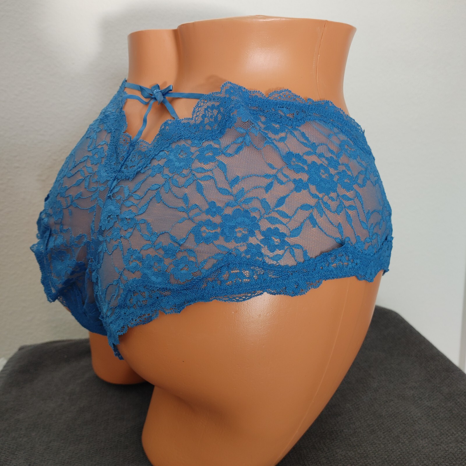 Lane Bryant Cacique Sexy Lingerie Cheeky Plus Panties 18/20 Blue Lace Sheer