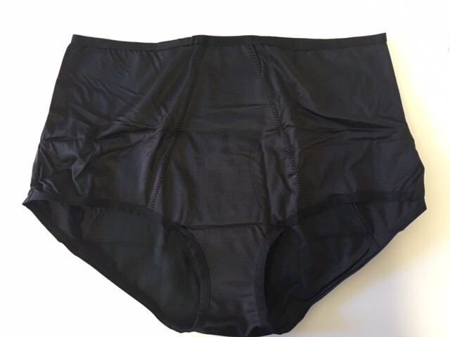 Dear Kate Women’s Panties Nellie Brief 2X Full Lining Black Period Protection