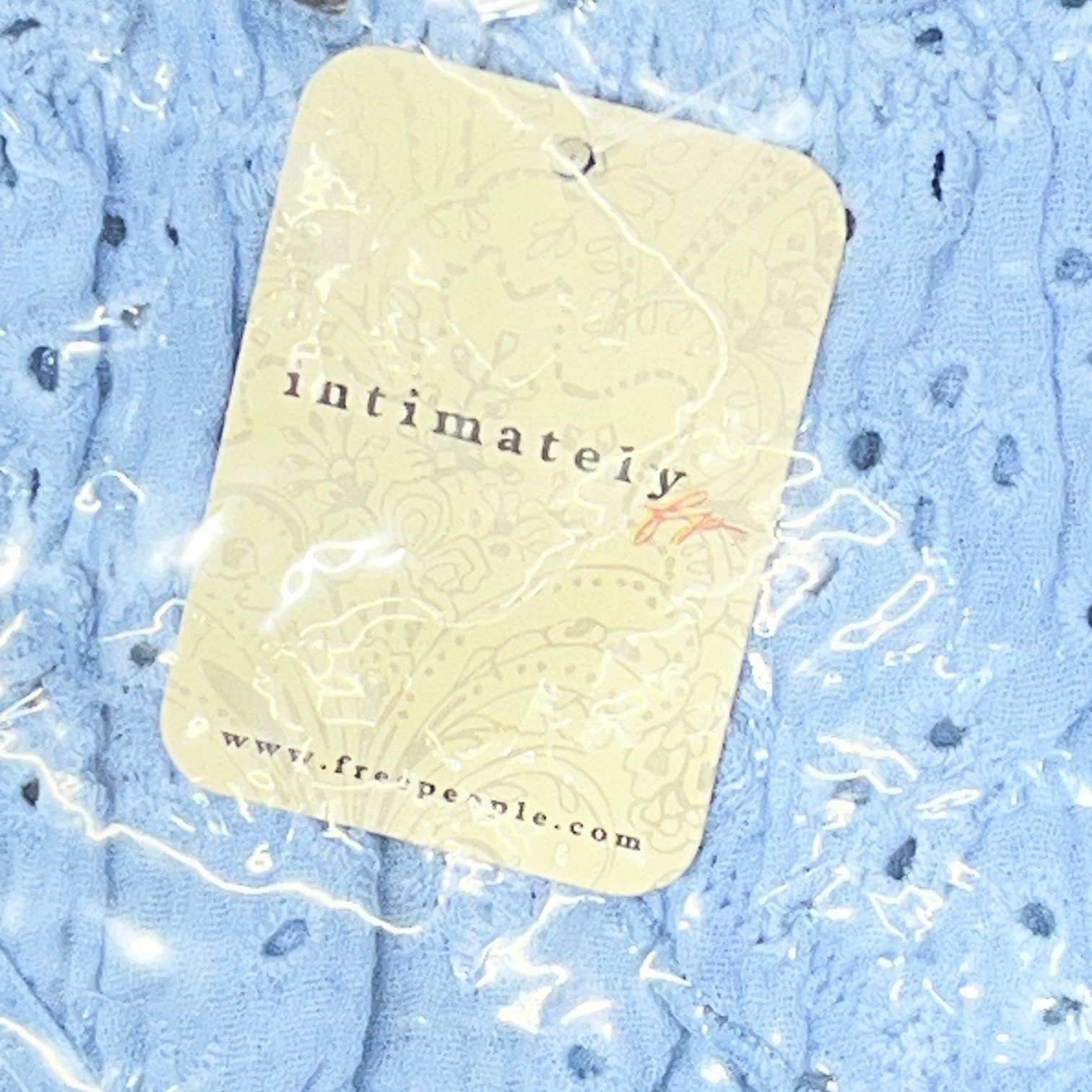 NWT Intimately FP Home Grown Stretch Cotton Eyelet Panties Misty Blue Sz L
