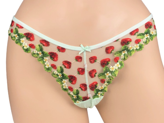 VICTORIA’S SECRET DREAM ANGELS STRAWBERRY EMBROIDERED BRAZILIAN PANTY XS S M L