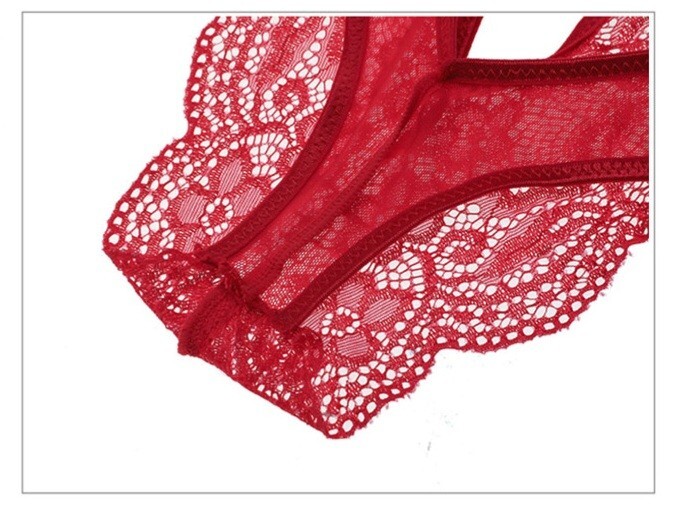 Women Sexy Lace Panties Bow Underwear G-String Thong Sheer See Through Lingeries