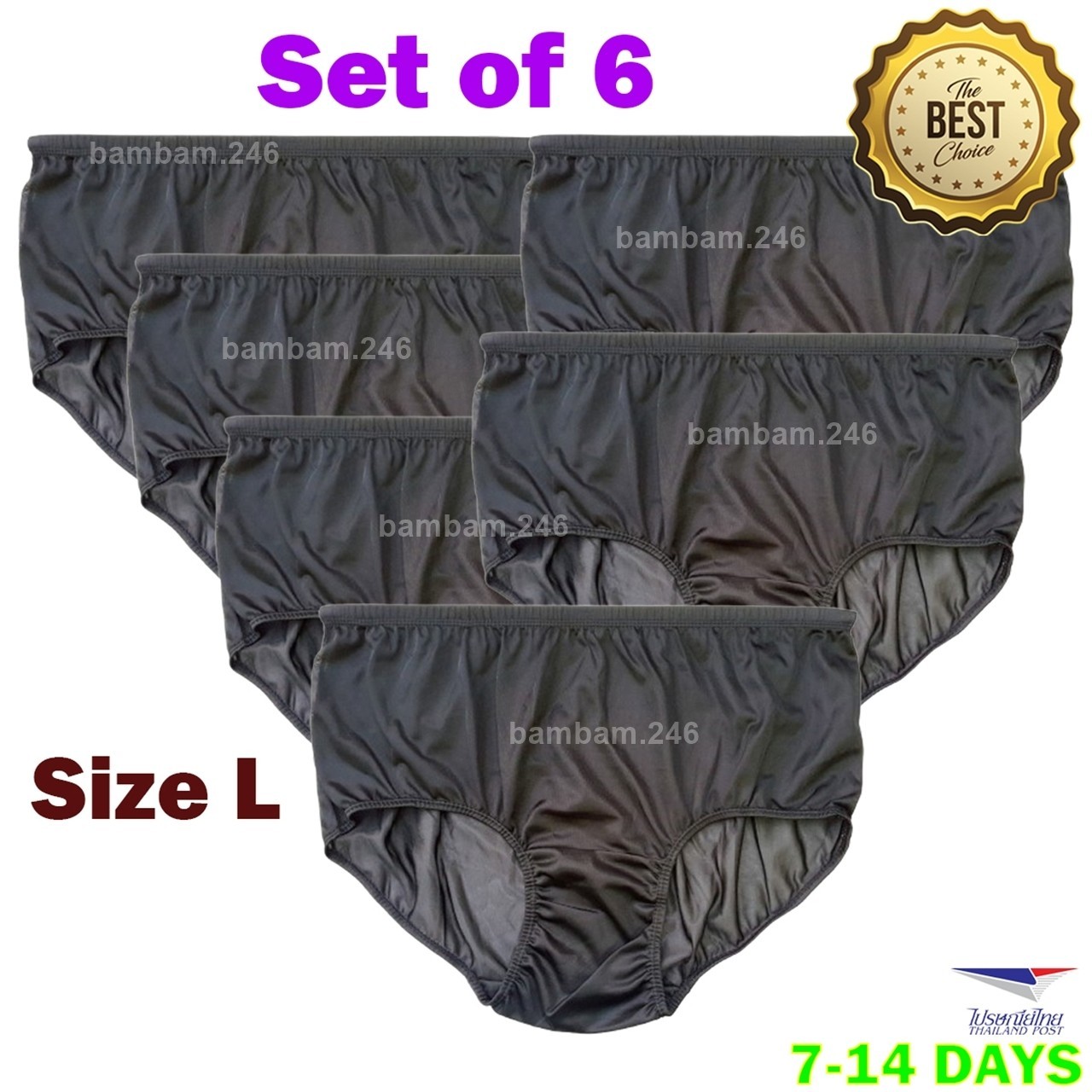 6 Packs Lot Soft Nylon Underwear Size L Panties Briefs Sheer Transparent Sexy Li