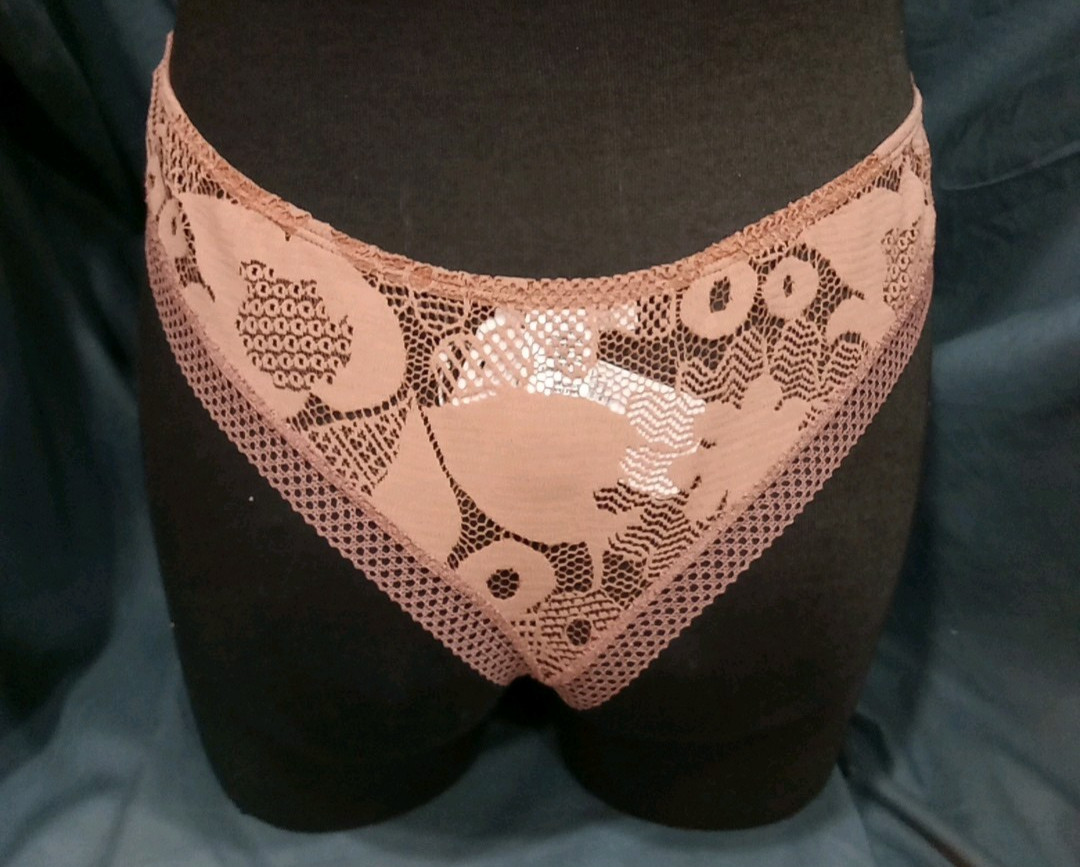 Eres Voile Lace Embroidered Briefs Size FR:38 US:6-New With Tags.