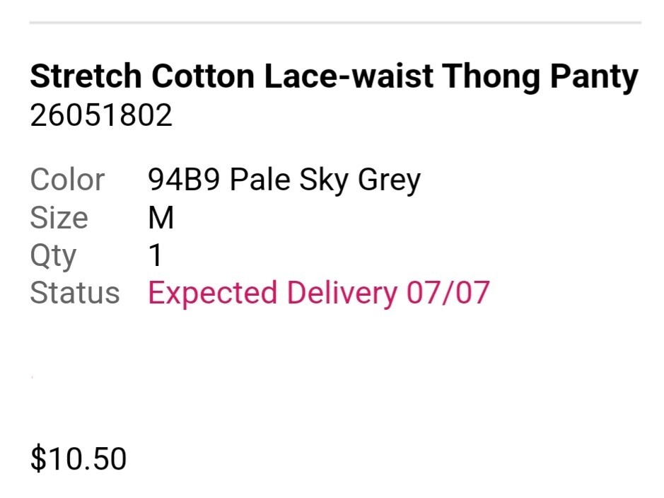 NWT Victoria’s Secret Lace Waist Thong Set of 2 Powder Blue/Pale Sky Grey Size L