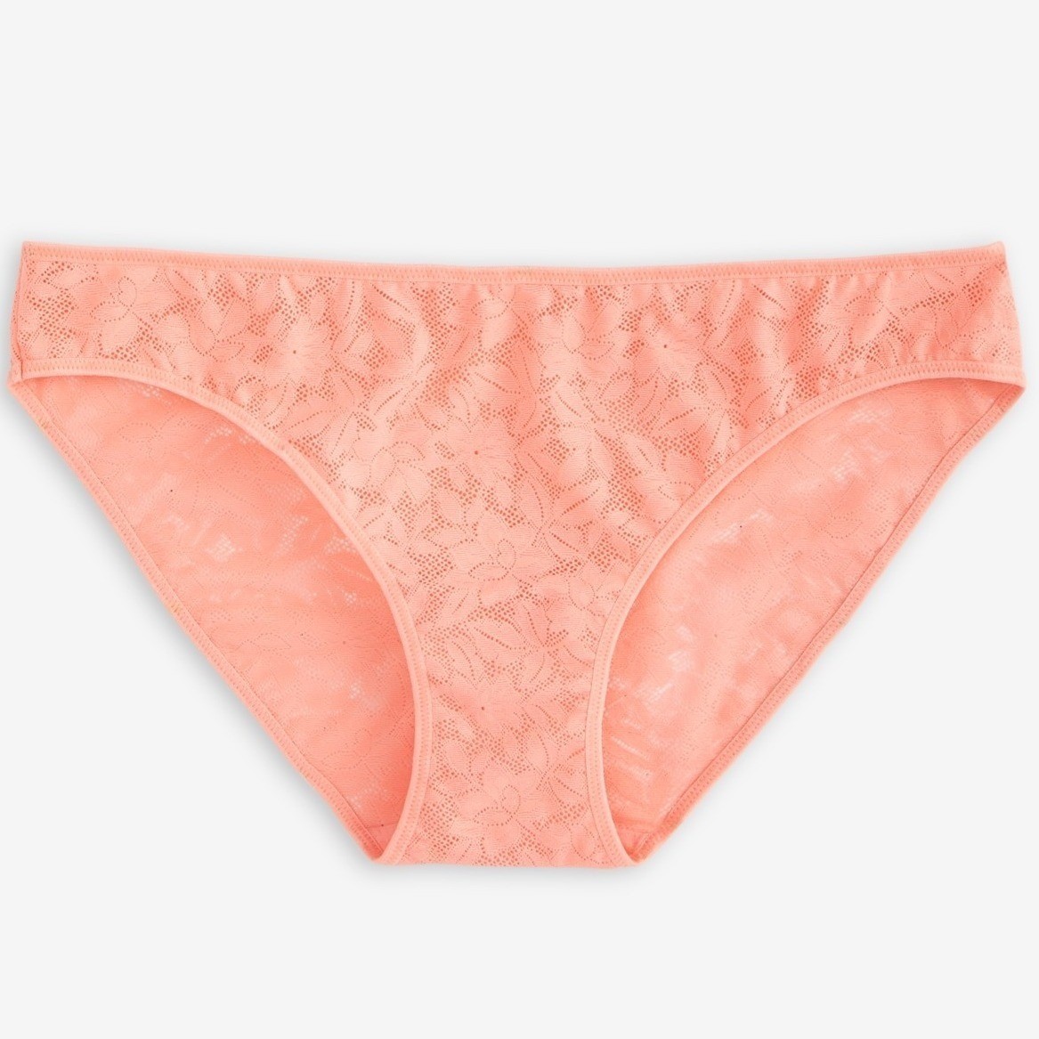 State of Day Women Mesh Floral Lace Bikini Panty Blushing Large Underwear NWT