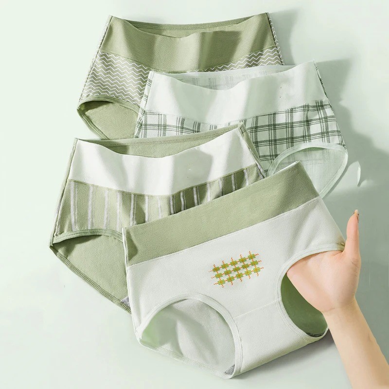 Women 5Pcs Fluxe Incontinence Underwear Leak-Proof Panties Cotton Brief Washable