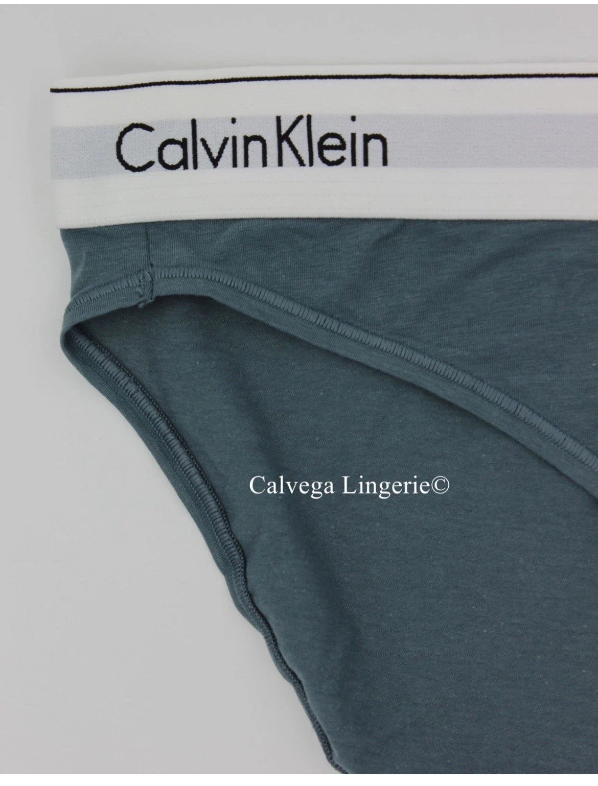 NWT Calvin Klein F3787 “Modern” Logo Cotton Bikini, Teal (030)