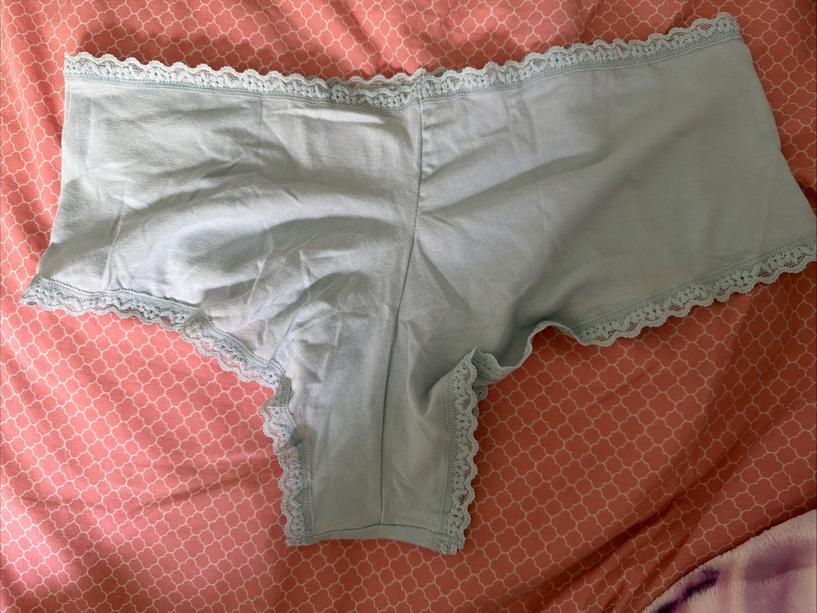 Nwt Victoria’s Secret Cotton Lace-Trim Cheeky Panty Powder Blue Sz Xlarge