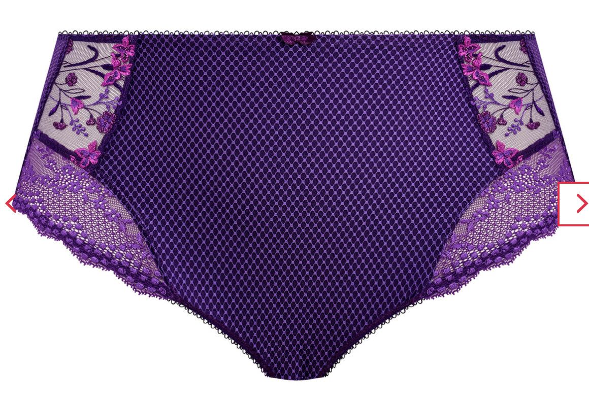 Elomi 4XL Charley Full Brief Panty NWOT 4388 Iris