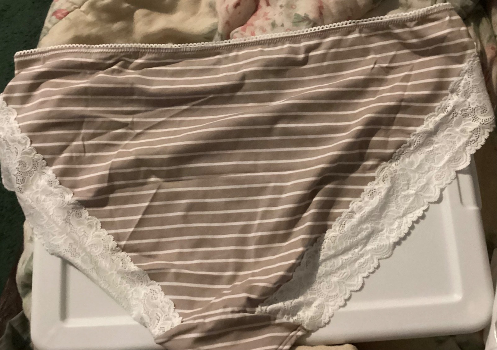 Lane Bryant Cacique panty Lace-Back Cotton Hipster 26 / 28 Taupe White pinstripe