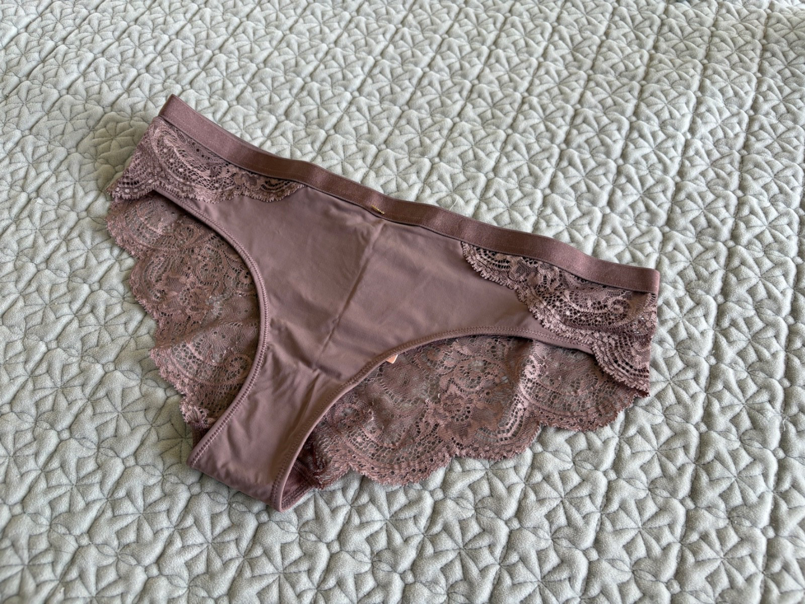 THIRD LOVE CHEEKY LACY PANTY SIZE LARGE NEW WITH TAGS