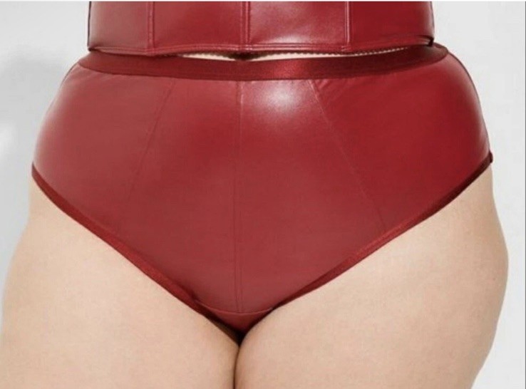 Torrid Red Pleather & Mesh Cheeky High Leg Panty Faux Leather Plus Sz 5 5X SEXY